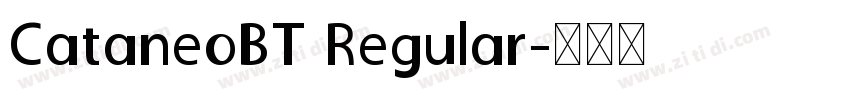 CataneoBT Regular字体转换